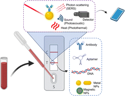 Graphical abstract: New technologies and reagents in lateral flow assay (LFA) designs for enhancing accuracy and sensitivity
