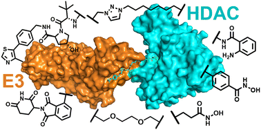 Graphical abstract: PROTAC chemical probes for histone deacetylase enzymes