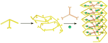 Graphical abstract: Construction of metallo-helicoids with high antimicrobial activity via intermolecular coordination