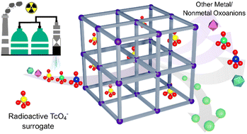 Graphical abstract: Preferential separation of a radioactive TcO4− surrogate from a mixture of oxoanions by a cationic MOF