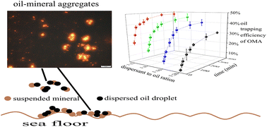 Graphical abstract: Formation and sedimentation of oil–mineral aggregates in the presence of chemical dispersant