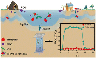 Graphical abstract: Co-transport of ferrihydrite–organic matter colloids with Sb(v) in saturated porous media: implications for antimony mobility