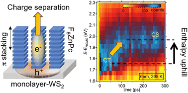 Graphical abstract: Enthalpy-uphill exciton dissociation in organic/2D heterostructures promotes free carrier generation