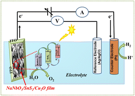 Graphical abstract: Enhancing the activity and stability of Cu2O nanorods via coupling with a NaNbO3/SnS2 heterostructure for photoelectrochemical water-splitting