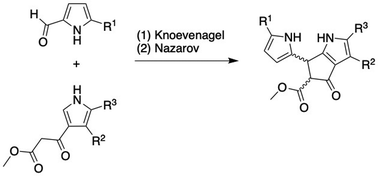 Graphical abstract: Synthesis of model southern rim structures of photosynthetic tetrapyrroles and phyllobilins