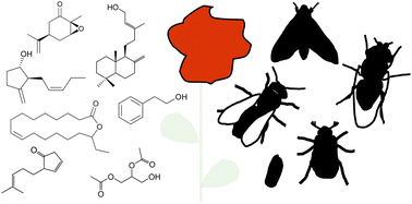 Graphical abstract: Chemistry, biosynthesis and biology of floral volatiles: roles in pollination and other functions