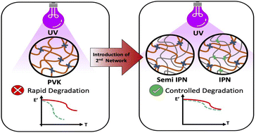 Graphical abstract: Controlled photodegradation of phenyl vinyl ketone polymers by reinforcement with softer networks