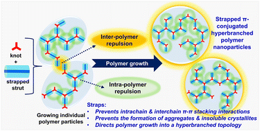 Graphical abstract: π-Face strapped monomers enable self-stabilized hyperbranched π-conjugated polymer particles