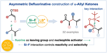 Graphical abstract: Catalytic asymmetric defluorinative allylation of silyl enol ethers