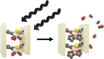 Graphical abstract: Studying manganese carbonyl photochemistry in a permanently porous metal–organic framework