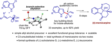 Graphical abstract: Construction of C2-indolyl-quaternary centers by branch-selective allylation: enabling concise total synthesis of the (±)-mersicarpine alkaloid
