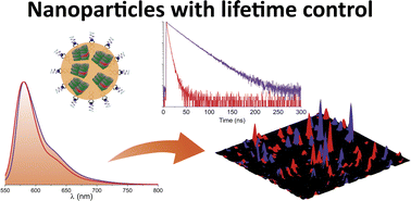 Graphical abstract: Control of the fluorescence lifetime in dye based nanoparticles