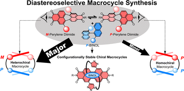 Graphical abstract: Investigating the diastereoselective synthesis of a macrocycle under Curtin–Hammett control