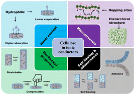 Graphical abstract: Utilizing cellulose-based conducting hydrogels in iontronics