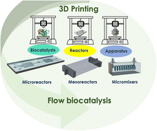 Graphical abstract: 3D printing for flow biocatalysis