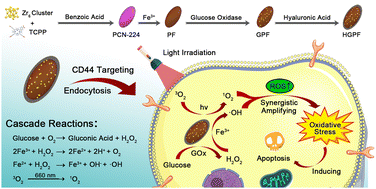 Graphical abstract: A porphyrin-MOF-based integrated nanozyme system for catalytic cascades and light-enhanced synergistic amplification of cellular oxidative stress