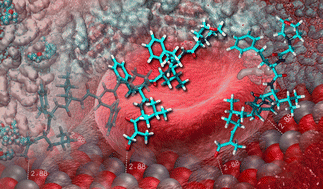 Graphical abstract: Stability and potential degradation of the α′,β′-epoxyketone pharmacophore on ZnO nanocarriers: insights from reactive molecular dynamics and density functional theory calculations