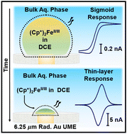 Graphical abstract: Understanding dynamic voltammetry in a dissolving microdroplet