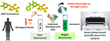 Graphical abstract: 1,4-Dihydropyridine-based FA1 site-specific fluorescent probes for the selective detection and quantification of HSA levels in biofluids