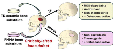 Graphical abstract: Oxidation-responsive, settable bone substitute composites for regenerating critically-sized bone defects