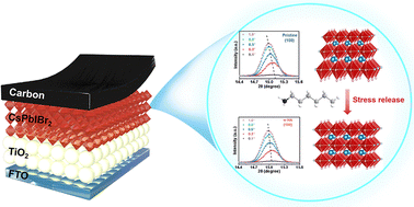 Graphical abstract: Strain engineering improves the photovoltaic performance of carbon-based hole-transport-material free CsPbIBr2 perovskite solar cells