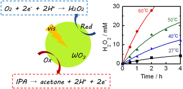 Graphical abstract: Rapid production of 38 mM H2O2 in an alcoholic suspension of a WO3 photocatalyst under visible light