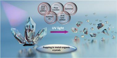 Graphical abstract: Photomechanical properties in metal–organic crystals