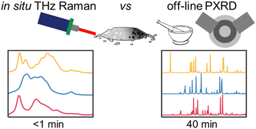 Graphical abstract: Calibration free approaches for rapid polymorph discrimination via low frequency (THz) Raman spectroscopy