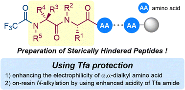 Graphical abstract: Preparation of sterically hindered peptides using trifluoroacetyl protection: incorporation of N-alkyl-α,α-dialkyl amino acids into N-alkyl amino acids