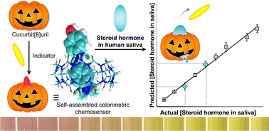 Graphical abstract: Colorimetric quantitative detection of steroid hormones using an indicator displacement assay-based chemosensor array