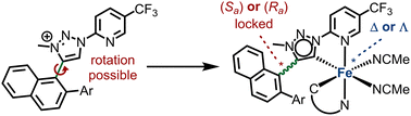 Graphical abstract: Coordination-induced axial chirality controls the metal-centred configuration in a stereogenic-at-iron catalyst