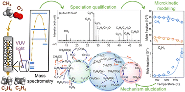 Graphical abstract: Mechanistic insights into the oxidative coupling of methane over a Li/MgO catalyst: an experimental and microkinetic modeling study