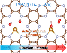 Graphical abstract: Revisiting the oxygen reduction reaction activity of two-dimensional TM-C2N electrocatalysts via constant-potential density functional theory: crucial impact of the spin state and coordination