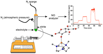 Graphical abstract: Feasibility of controlled nitric oxide generation via ascorbate induced chemical reduction of nitrite ions