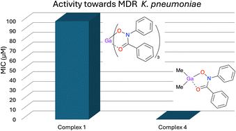 Graphical abstract: Highly selective organo-gallium hydroxamate mediated inhibition of antibiotic resistant Klebsiella pneumoniae