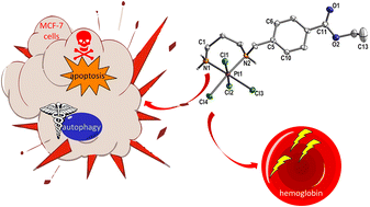 Graphical abstract: Platinum(ii/iv) complexes with N-substituted carboxylate ethylenediamine/propylenediamine ligands: preparation, characterization and in vitro activity