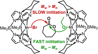 Graphical abstract: Ring-opening polymerization of ε-caprolactone with a macrocyclic tetracarbene indium complex