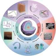 Graphical abstract: Microscopic electrochemical–mechanical coupling in layered cathodes under high-voltage and fast-charging conditions