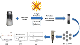 Graphical abstract: Exploring catalytic degradation of environmental fenamiphos by yeast enolase cross-linked with COOH-functionalized silver nanoparticles