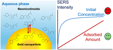 Graphical abstract: Emerging investigator series: quantitative insights into the relationship between the concentrations and SERS intensities of neonicotinoids in water