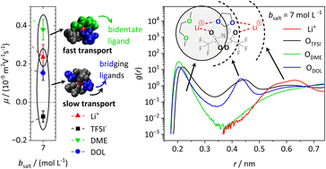 Graphical abstract: Heterogeneous Li coordination in solvent-in-salt electrolytes enables high Li transference numbers