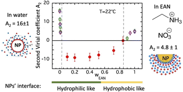 Graphical abstract: Dispersions of magnetic nanoparticles in water/ionic liquid mixtures