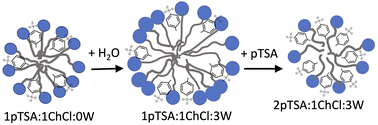 Graphical abstract: Cationic micelles in deep eutectic solvents: effects of solvent composition