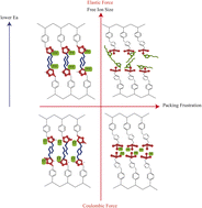 Graphical abstract: Ion transport in polymerized ionic liquids: a comparison of polycation and polyanion systems