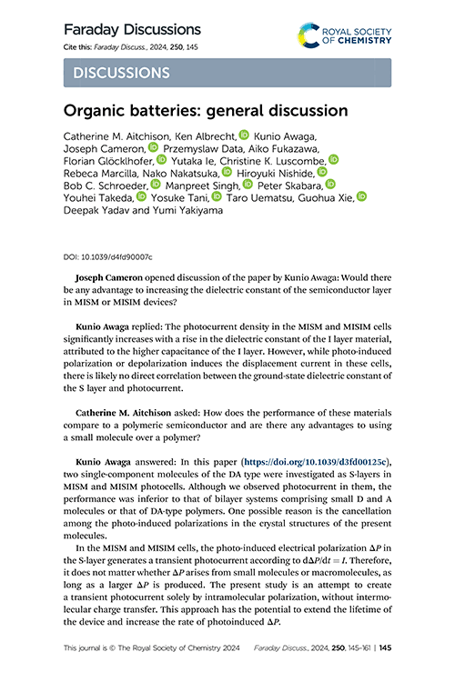 Organic batteries: general discussion