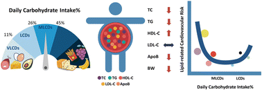 Graphical abstract: Evaluating the differential benefits of varying carbohydrate-restricted diets on lipid profiles and cardiovascular risks in dyslipidemia: a meta-analysis and systematic review