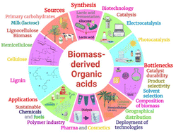 Graphical abstract: Scaling up clean production of biomass-derived organic acids as a step towards the realization of dual carbon goals: a review