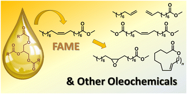 Graphical abstract: The chemistry of oleates and related compounds in the 2020s