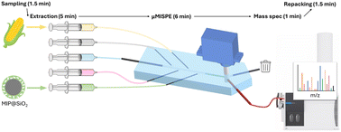 Graphical abstract: Repackable microfluidic molecularly imprinted solid-phase extraction coupled with mass spectrometry (μMISPE-MS) for rapid analysis of mycotoxin in agri-foods: an example of zearalenone