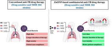 Graphical abstract: Bactericidal activity of ZnO nanoparticles–anti-TB drug combination towards the H37Rv strain and multidrug-resistant isolates of Mycobacterium tuberculosis via SufB splicing inhibition